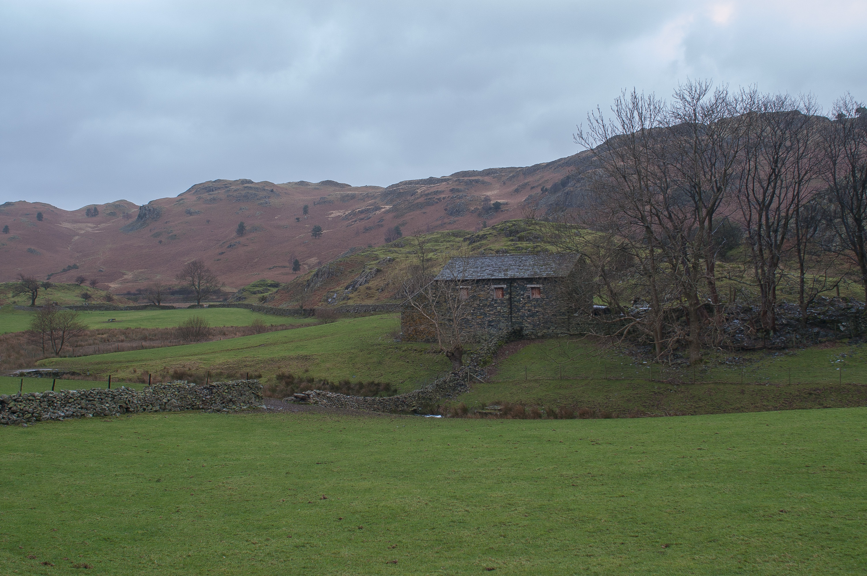moor